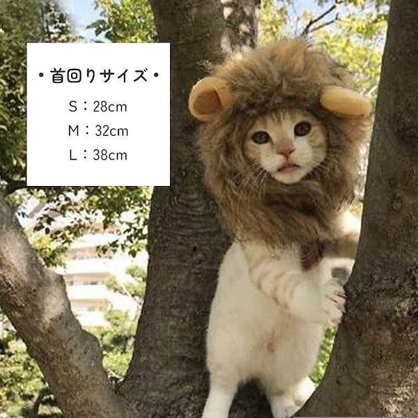 うさぎいぬさま専用 ペット帽子うさぎ変身 猫 かぶりも 猫用帽子 犬猫用ウィッグ