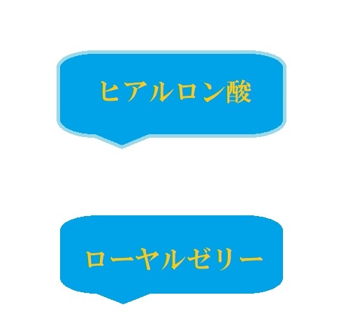 HB-555 Bi 50mlx20本 美 フローラ Flora HB-555 Bi 50mlx20本 美 フローラ Flora