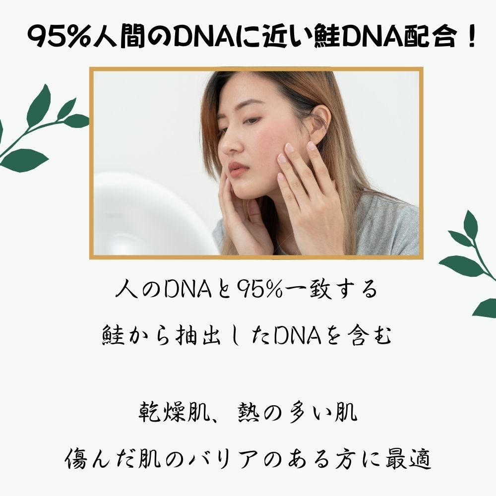 Qoo10] [関税なし] [1+1+1] VQM P