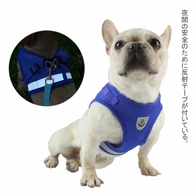 ポイント10倍 ハーネス 猫 犬 ハーネスリード リード 首輪胴輪 犬用品 ペットグッズ 小型犬 猫用 犬用 中型犬 リード サイズ Xl Truthprofoundationindia Com