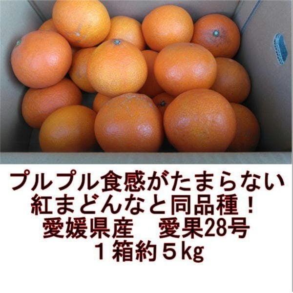 Qoo10] 愛果28号 紅まどんなと同品種 あいか