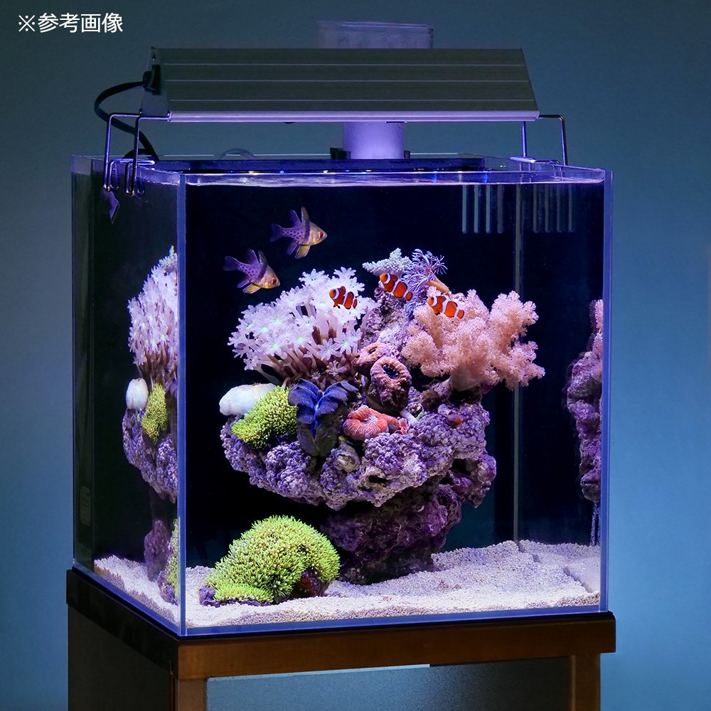 アクロ TRIANGLE LED MARINE 300