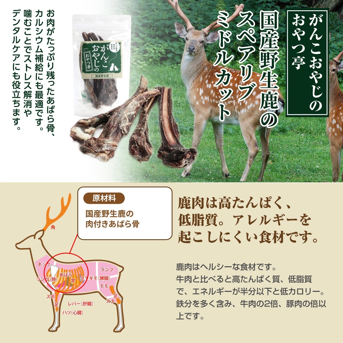 ごはんオールステージ 5kg【国産鹿のスペアリブ ミドルカット 1本入り付き】 ごはんオールステージ 5kg【国産鹿のスペアリブ ミドルカット 1本入り付き】