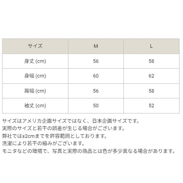 返品交換不可 在庫一掃 Champion チャンピオン Vネックセーター レディース CW-A017-020 即納