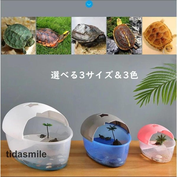 Amazon | 亀水槽プ ラスチック 大きい ボックス カメ槽 亀飼育用