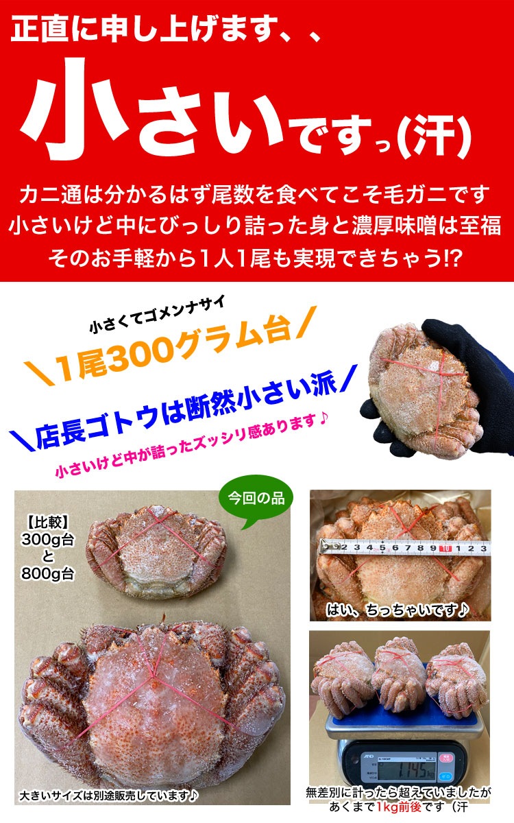 毛ガニ 360g前後×3尾セット 合計1kg前後 姿 味噌 けがに 毛がに カニ 蟹 かに 脚 折脚たし脚入る場合があります 毛ガニ 360g前後×3尾セット 合計1kg前後 姿 味噌 けがに 毛がに カニ 蟹 かに 脚 折脚たし脚入る場合があります