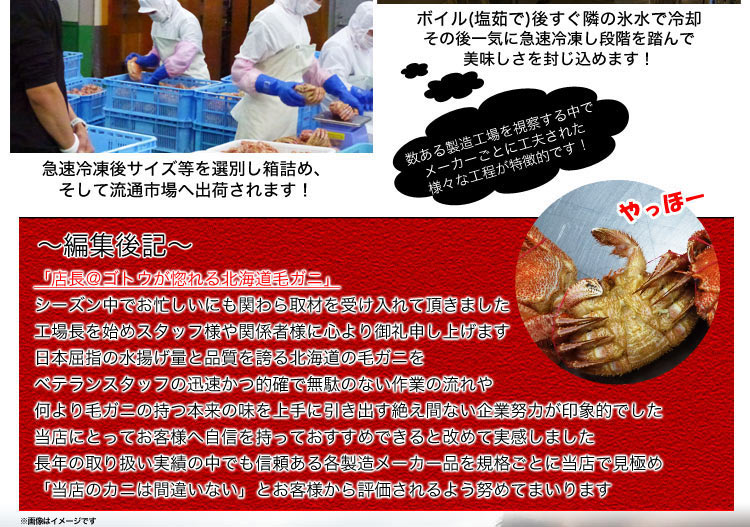 毛ガニ 360g前後×3尾セット 合計1kg前後 姿 味噌 けがに 毛がに カニ 蟹 かに 脚 折脚たし脚入る場合があります 毛ガニ 360g前後×3尾セット 合計1kg前後 姿 味噌 けがに 毛がに カニ 蟹 かに 脚 折脚たし脚入る場合があります