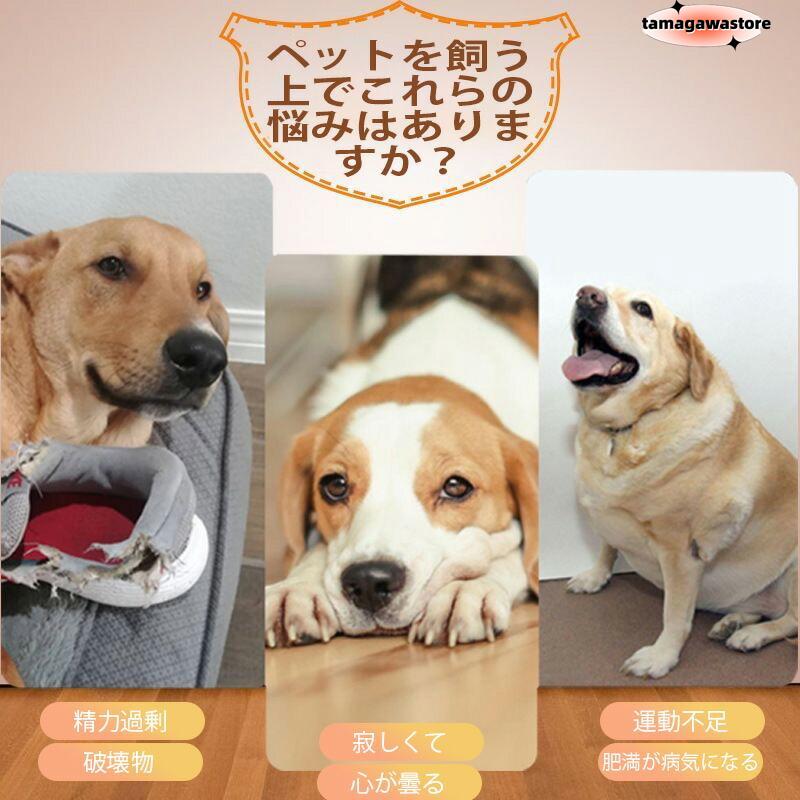 ペットボール投げ機 犬 ボールランチャーペット用屋内用3モード遠距離グリーンドッグ自動ボールランチャー 犬 自動 ボール 投げ 自動ボールランチャー 犬 ペットボール投げ機 犬 ボールランチャーペット用屋内用3モード遠距離グリーンドッグ自動ボールランチャー 犬 自動 ボール 投げ 自動ボールランチャー 犬
