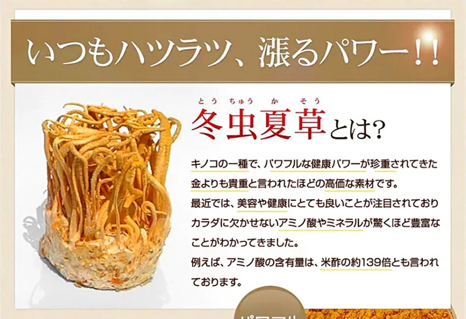 冬虫夏草 約6ヶ月分 冬虫夏草 約6ヶ月分