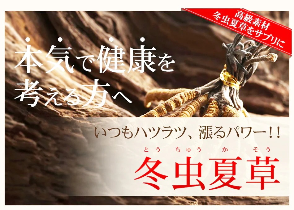 冬虫夏草 約6ヶ月分 冬虫夏草 約6ヶ月分