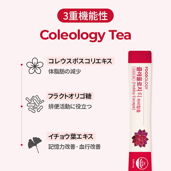 Qoo10] FOODOLOGY 【Set】コレオロジー 茶 3個 SET