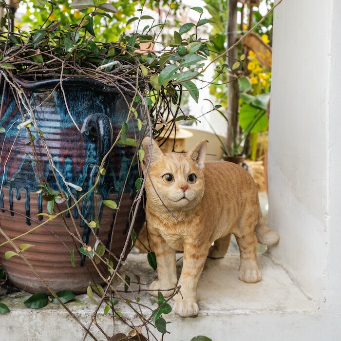 置物 歩くダークビスケットとら猫 大 ネコ 高さ23.5cm woobia ウービア 大きい かわいい おしゃれ ガーデン インテリア オブジェ 巨大 可愛い プレゼント 北欧 玄関 雑貨 動物 モダ