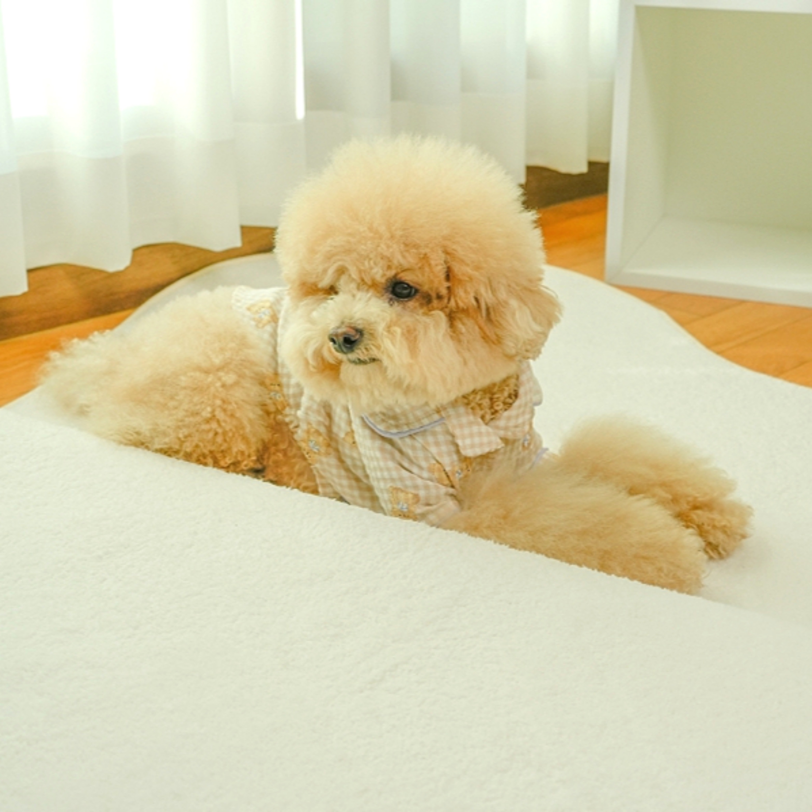 [韓国生産] くもりん 変形 デザイン ラグ かわいい 洗える リビングラグ カーペット（3色展開）