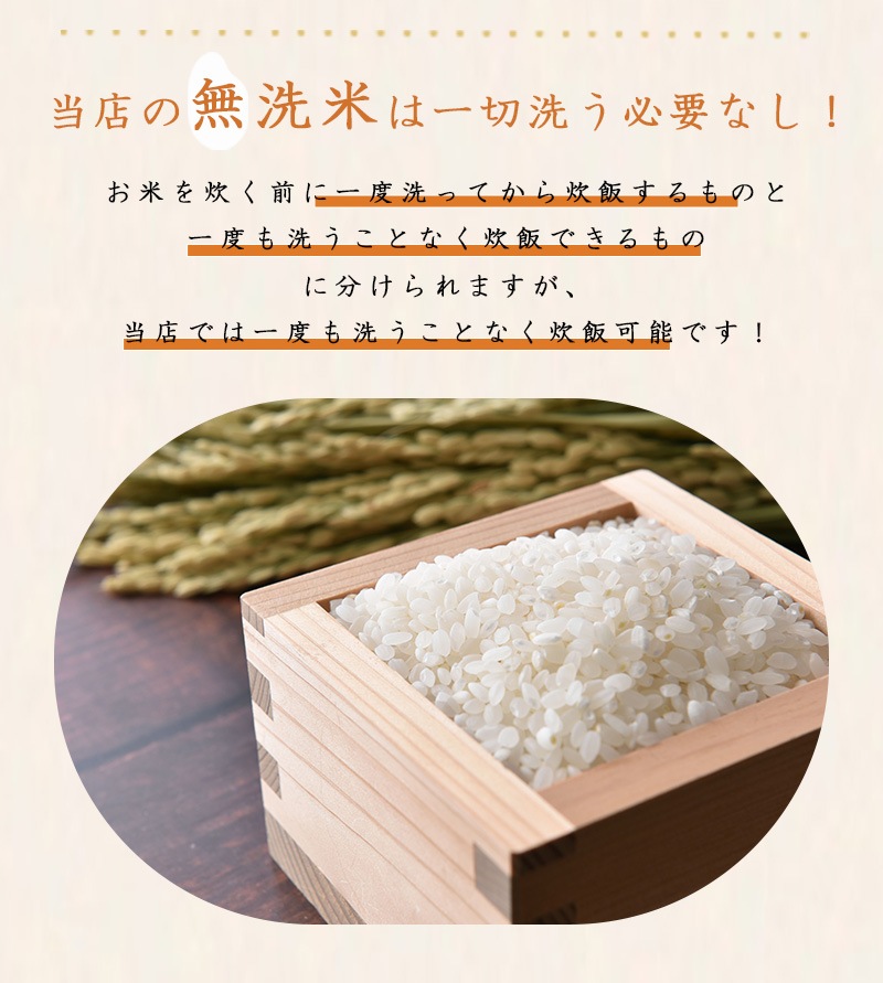 令和6年 岡山県産 ひのひかり 無洗米 10kg (5kg2個) お米 米 こめた監修 お一人様1点限り