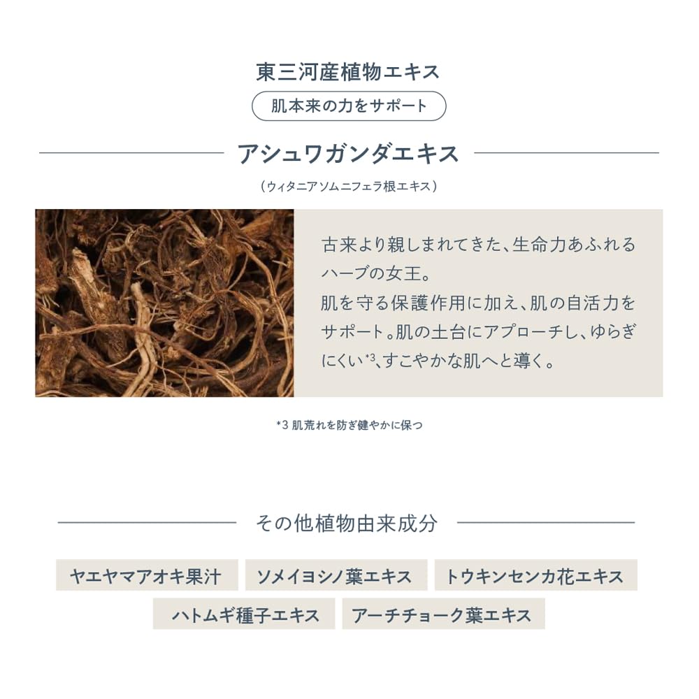 Waphyto [ 化粧水 ] レジェナ トナー 145mL 高保湿 ハリ エイジングケア スキンケア レチノール