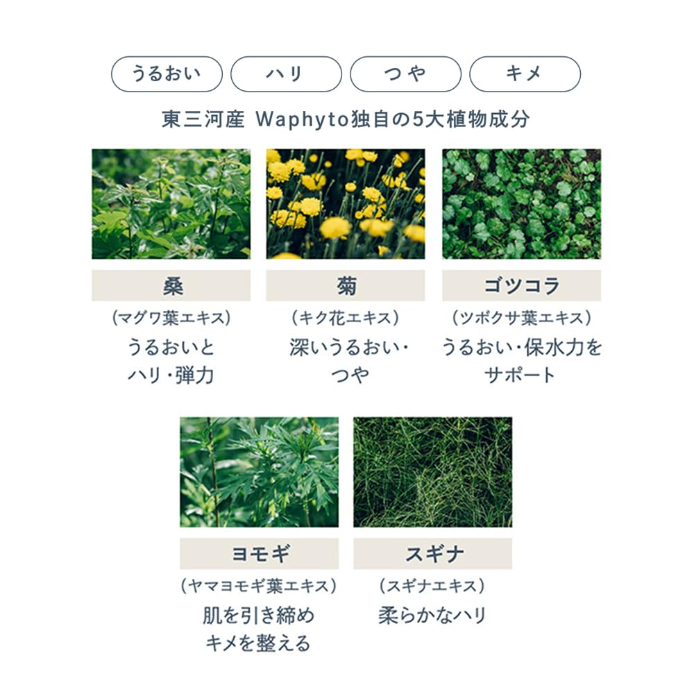 Waphyto [ 化粧水 ] レジェナ トナー 145mL 高保湿 ハリ エイジングケア スキンケア レチノール