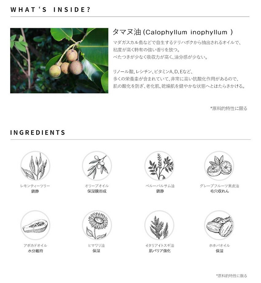 [ツリーアンシー] シナジーオイルセット(シグネチャータマヌオイル30ml×２個)・54974
