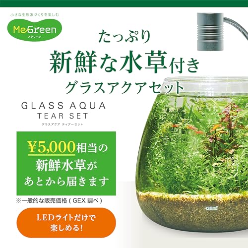 GEX MeGreen 新鮮な水草付き グラスアクアティアーセット 水草育成用品セット 別送でたっぷ