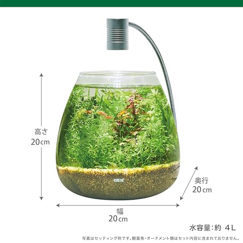 GEX MeGreen 新鮮な水草付き グラスアクアティアーセット 水草育成用品セット 別送でたっぷ