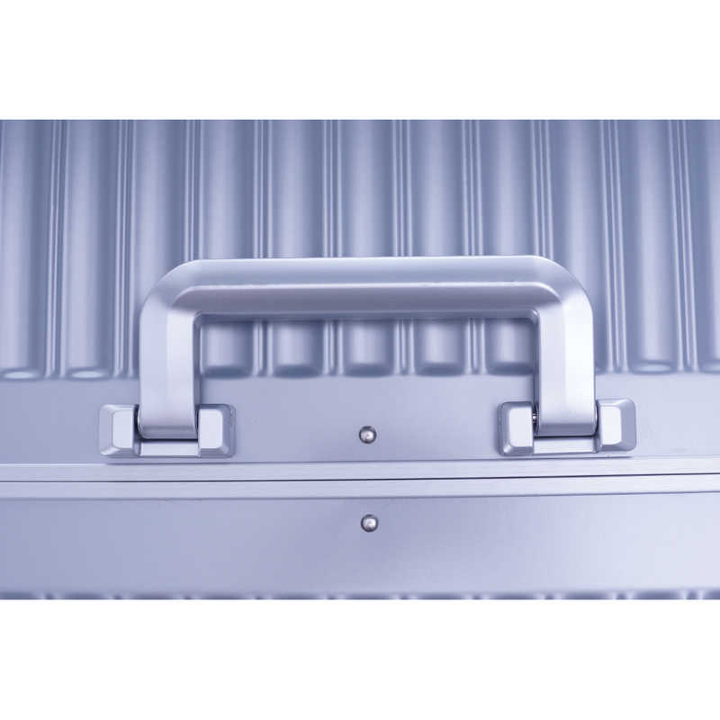 A.L.I　ハードキャリー GRANMAX フレームタイプ マットシルバー [TSAロック搭載 /70L]　GM-055-25