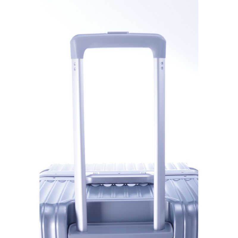 A.L.I　ハードキャリー GRANMAX フレームタイプ マットシルバー [TSAロック搭載 /70L]　GM-055-25