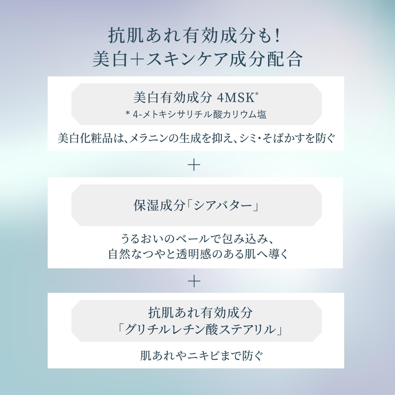 スノービューティー医薬部外品 ブライトニング スキンケアパウダーA おしろい スノービューティー医薬部外品 ブライトニング スキンケアパウダーA おしろい
