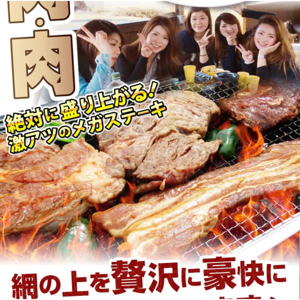 牛肉 肉 ステーキ&焼肉 BBQ ギガ盛り 3kg超 福袋 肉祭り セット タレ ハサミ トング トレー付き お中元 ギフト 食品 キャンプ 牛肉 肉 ステーキ&焼肉 BBQ ギガ盛り 3kg超 福袋 肉祭り セット タレ ハサミ トング トレー付き お中元 ギフト 食品 キャンプ