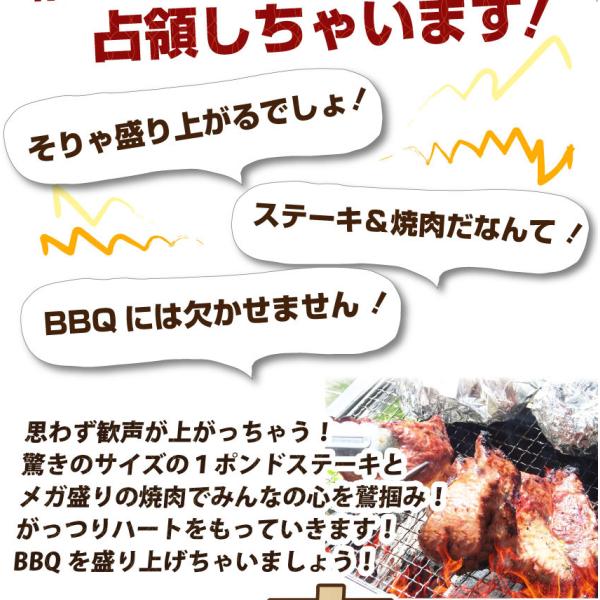 牛肉 肉 ステーキ&焼肉 BBQ ギガ盛り 3kg超 福袋 肉祭り セット タレ ハサミ トング トレー付き お中元 ギフト 食品 キャンプ 牛肉 肉 ステーキ&焼肉 BBQ ギガ盛り 3kg超 福袋 肉祭り セット タレ ハサミ トング トレー付き お中元 ギフト 食品 キャンプ