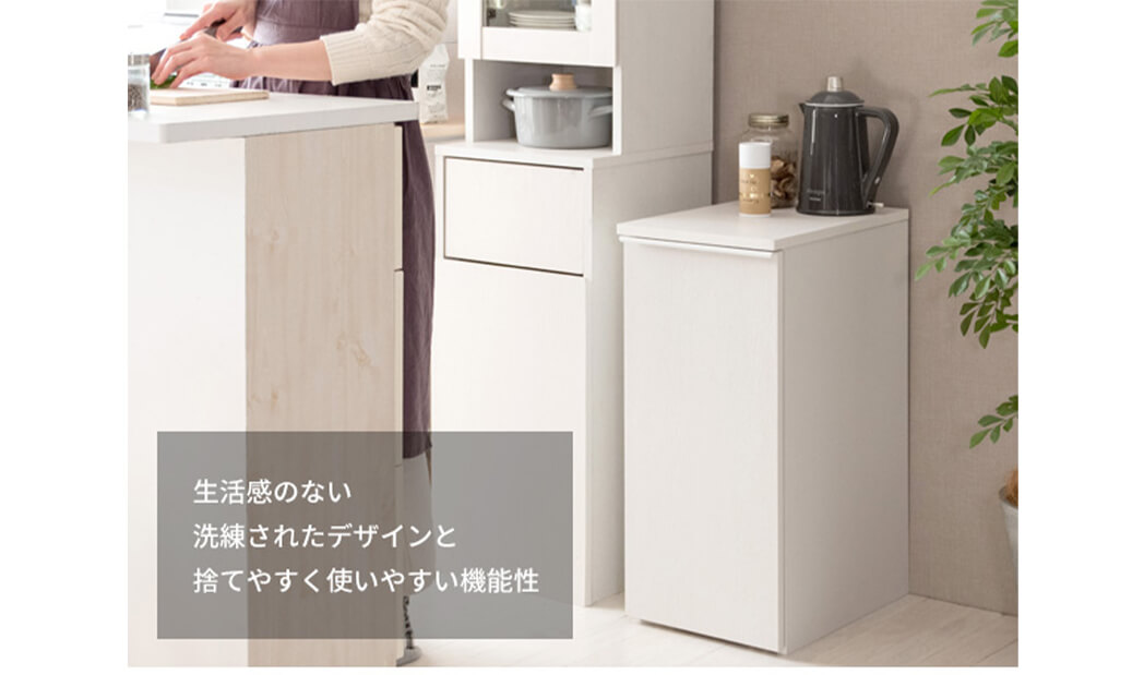 引出しダストボックス　ゴミ箱　４５リットル　４５Ｌ　ふた付き　塵箱　スリム　幅３０ｃｍ　ダストボックス