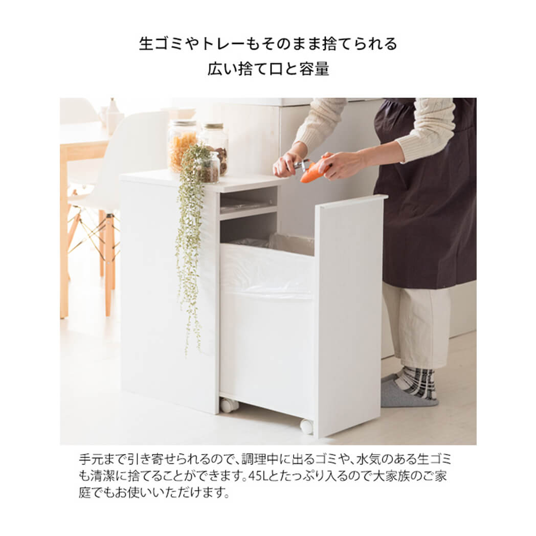 引出しダストボックス　ゴミ箱　４５リットル　４５Ｌ　ふた付き　塵箱　スリム　幅３０ｃｍ　ダストボックス