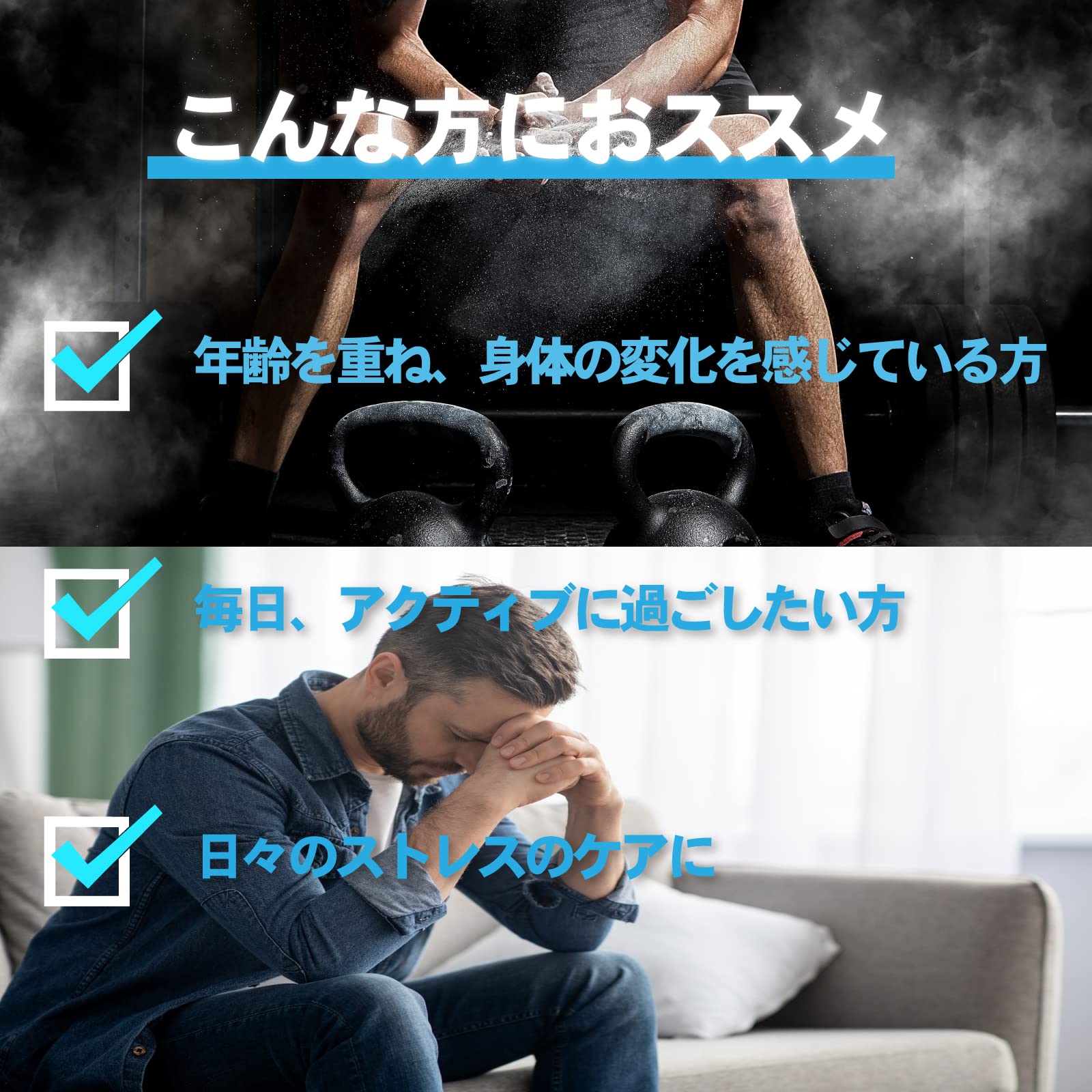 ファインラボ 新ETB 120カプセル FL-0004 ファインラボ 新ETB 120カプセル FL-0004