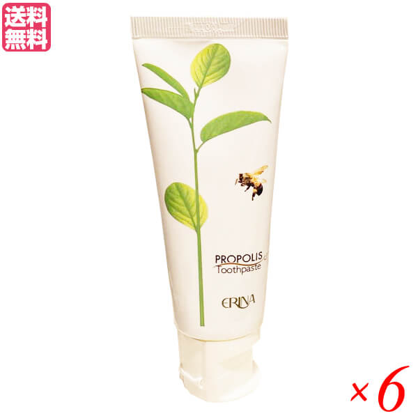 エリナ P歯磨き 95g 6本セット プロポリス 歯磨き ハミガキ