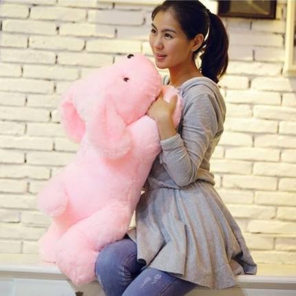 【2枚購入で1oo円OFF】七色 光る 抱き枕 犬 夜光 ぬいぐるみ オモチャ 誕生日プレゼント 女子 【2枚購入で1oo円OFF】七色 光る 抱き枕 犬 夜光 ぬいぐるみ オモチャ 誕生日プレゼント 女子