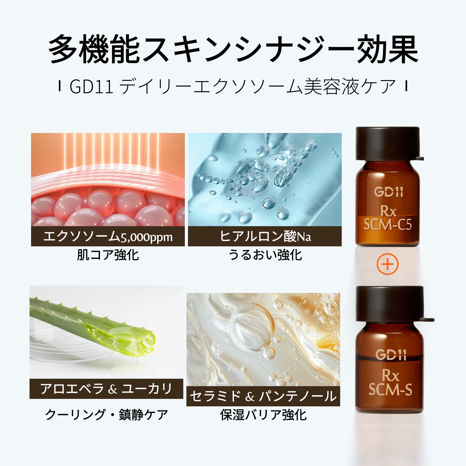 Qoo10] GD11 【公式】RxSCMプログラム(5セット)