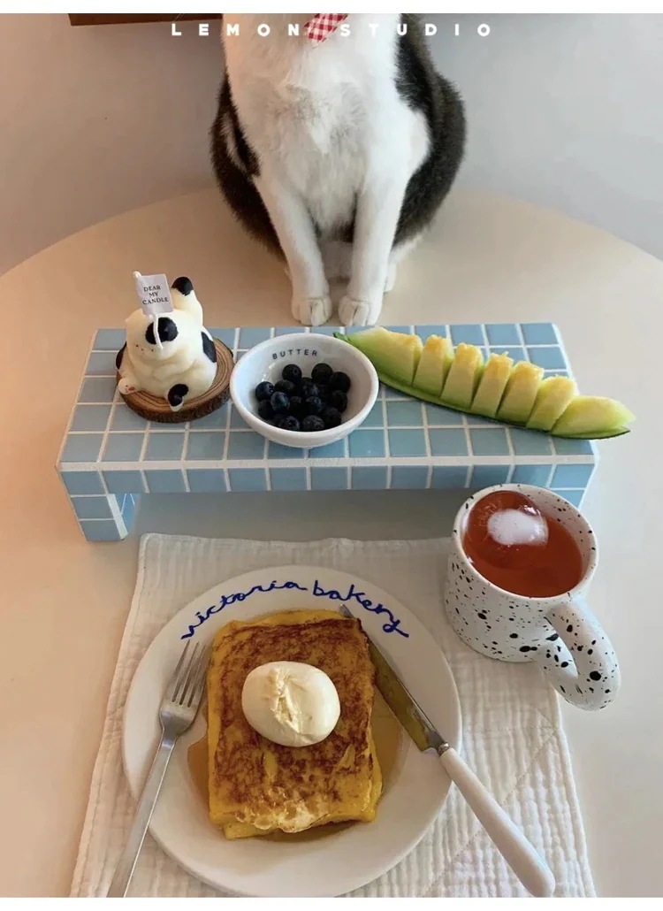 1つ買うと10個「オーダーメイド」ファッション収納 　 異素材収納 ディス収納 おうち時間 インスタ映え おうち時間が楽しくなるz01