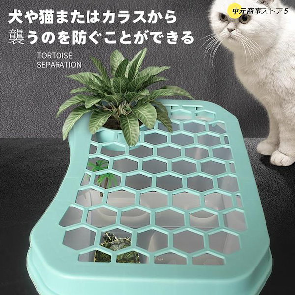 カメ Zxyler 亀の水槽 M グレー：蓋付き プラスチック飼育ケース