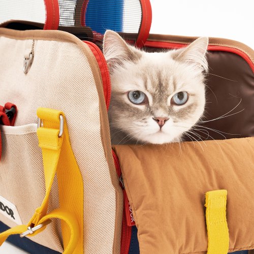 **M/Lサイズ展開** アイバック ペット ショルダーバック iBAG SASSY CREAM