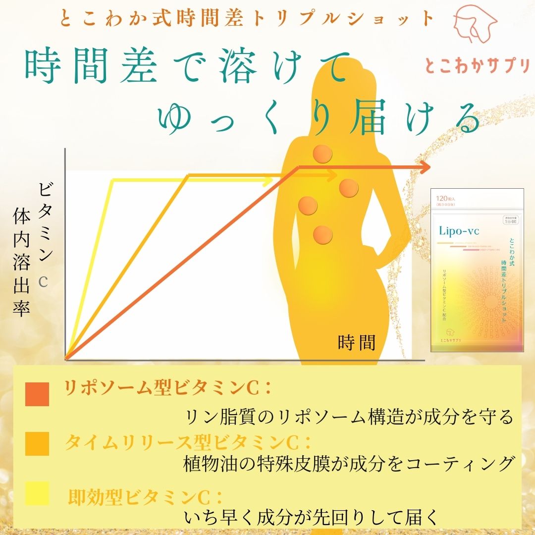 10個セット 【リポソームビタミンCをしっかり配合】とこわか式時間差トリプルショット 高濃度 ビタミンC サプリ 1,000mg リポソームビタミンC 30日分 120粒入 即 10個セット 【リポソームビタミンCをしっかり配合】とこわか式時間差トリプルショット 高濃度 ビタミンC サプリ 1,000mg リポソームビタミンC 30日分 120粒入 即