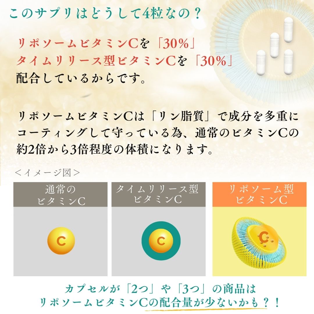 10個セット 【リポソームビタミンCをしっかり配合】とこわか式時間差トリプルショット 高濃度 ビタミンC サプリ 1,000mg リポソームビタミンC 30日分 120粒入 即 10個セット 【リポソームビタミンCをしっかり配合】とこわか式時間差トリプルショット 高濃度 ビタミンC サプリ 1,000mg リポソームビタミンC 30日分 120粒入 即