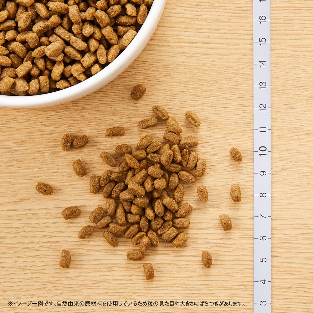 ニュートロ　子犬用　小粒　３ｋｇX４袋　お一人様１点限り　ＣＲＣ45―02―53―10―00