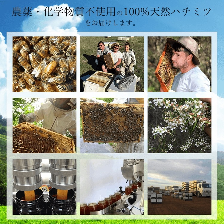 奇跡の蜂蜜マヌカハニーMGO250+500ｇ2個セット　送料込み　除草剤検査済み　無添加 天然蜂蜜