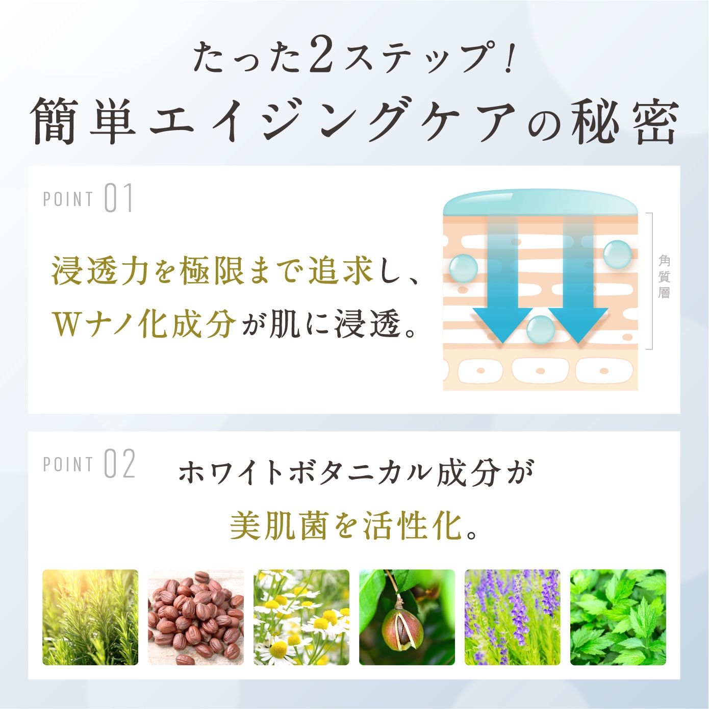 ボタニカルモイスチャーセット 化粧水 115ml 乳液 50ml ナノヒアルロン酸 ナノコラーゲン 透明感 ハリ 弾力 うるおい 敏感肌 乾燥肌 毛穴 くすみ たるみ エイジングケア スキンケアセット mdprevattcaulkingandwaterproofing.com