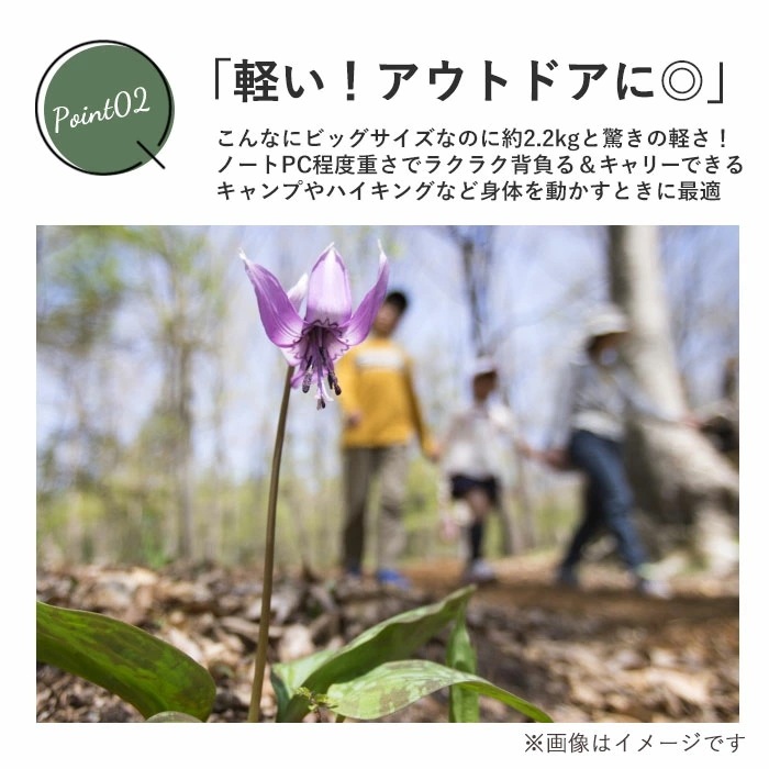 swan スワン リュック 3WAY キャリー リュックサック 通販 キャリーバッグ 2輪 キャリーバック D-バッグキャリー D-バッグ D-バックキャリー D-バック ボストンバッグ ボストンバッ swan スワン リュック 3WAY キャリー リュックサック 通販 キャリーバッグ 2輪 キャリーバック D-バッグキャリー D-バッグ D-バックキャリー D-バック ボストンバッグ ボストンバッ