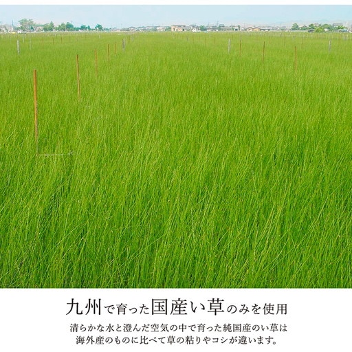 い草 ラグマット [約191x250cm ナチュラル] 抗菌 防臭 調湿効果 弾力性 耐久性 ウレタ