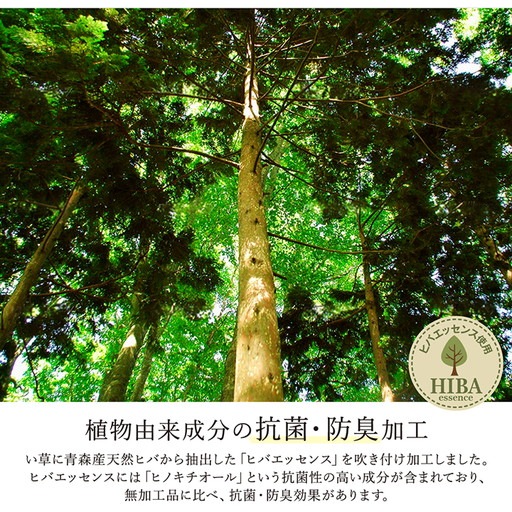 い草 ラグマット [約191x250cm ナチュラル] 抗菌 防臭 調湿効果 弾力性 耐久性 ウレタ