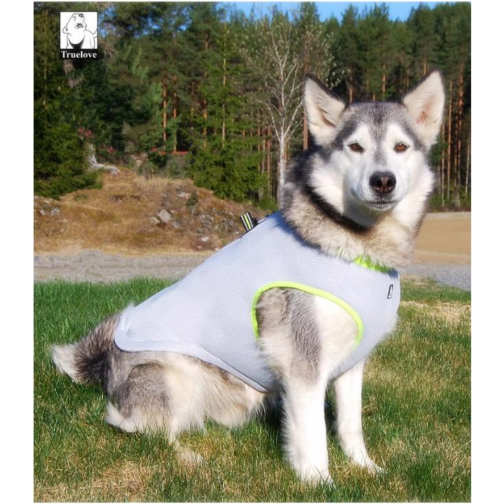 犬 クールベスト 中大型犬ハーネス 犬用ベスト 冷感 冷却 夏冬両用ベスト クールベスト リング付き 装着簡単 手入れ簡単