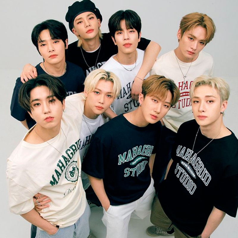 [Stray kids 着用] BASIC LOGO TEE 10色 韓国 アイドル K-POP