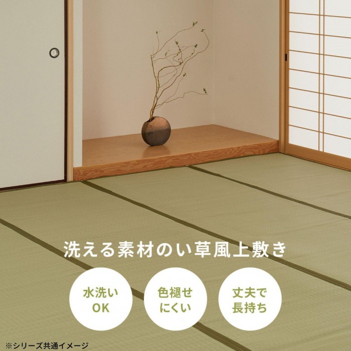 洗えるい草カーペット 四条(しじょう) 江戸間6畳 約261×352cm 159058960