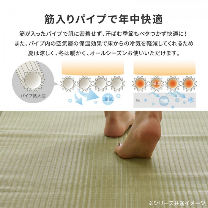 洗えるい草カーペット 四条(しじょう) 江戸間6畳 約261×352cm 159058960