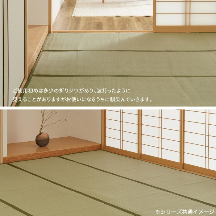 洗えるい草カーペット 四条(しじょう) 江戸間6畳 約261×352cm 159058960